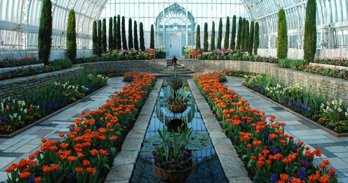 Como Park Zoo & Conservatory Meet Minneapolis Meet Minneapolis