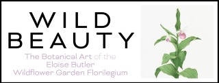 Wild Beauty: The Botanical Art of the Eloise Butler Wildflower Garden Florilegium