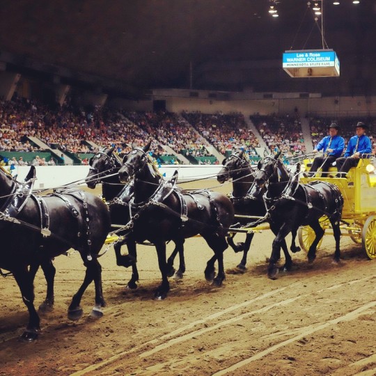 Minnesota State Fair | Meet Minneapolis