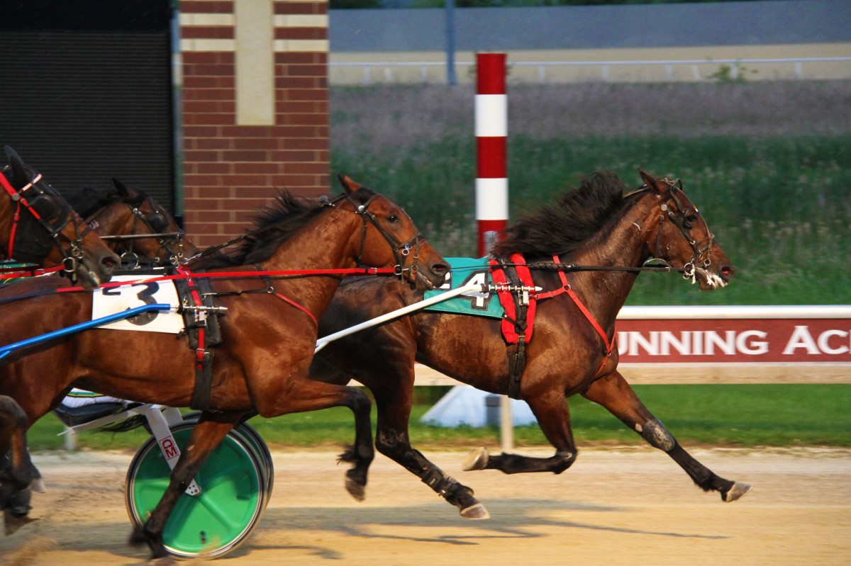 Casinos & Gaming Meet Minneapolis